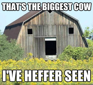 Surprised Barn