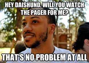 Good Guy Daishund