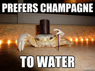Fancy Crab