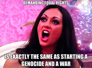 Feminist Nazi