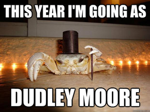 Fancy Crab