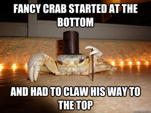 Fancy Crab