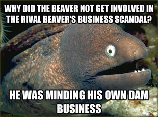 Bad Joke Eel