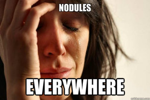 First World Problems