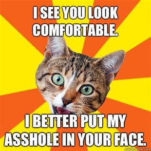 Bad Advice Cat