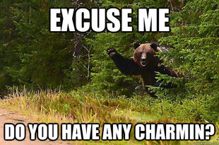 Greetings Bear