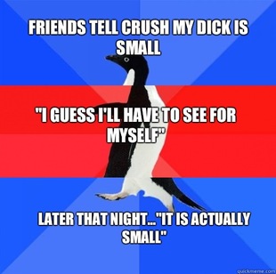 Socially Awkward Awesome Awkward Penguin