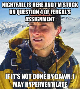 Bear Grylls
