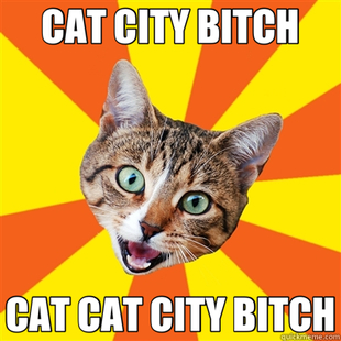 Bad Advice Cat