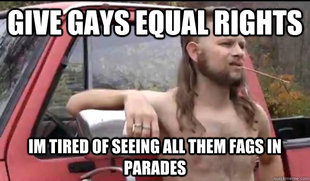 Almost Politically Correct Redneck