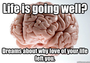 Scumbag Brain