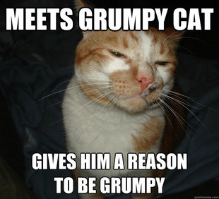Cool Cat Craig
