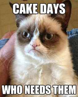 grumpy cat