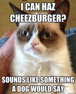 Grumpy cat