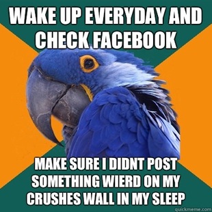 Paranoid Parrot