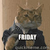 Angry Cat