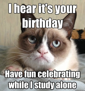 Grumpy cat