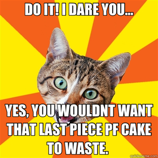 Bad Advice Cat