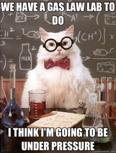 Chemistry Cat