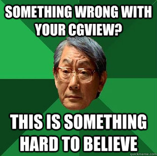 High Expectations Asian Father