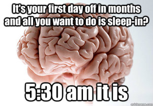 Scumbag Brain