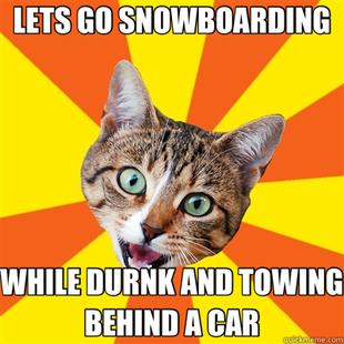 Bad Advice Cat