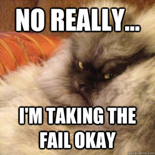 Angriest Cat