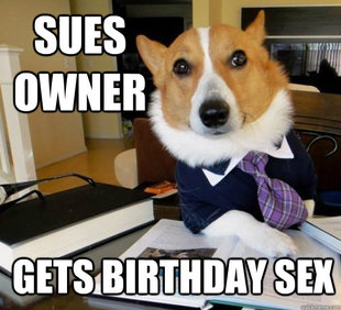Lawyer Dog