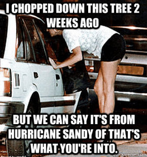 Karma Whore