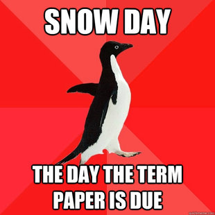 Socially Awesome Penguin
