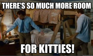 Stepbrothers Activities