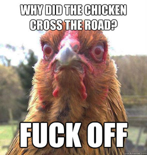 RageChicken