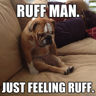 depressed dog