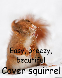 cover squirrel