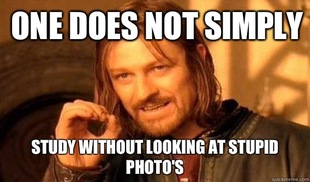 Lord of The Rings meme