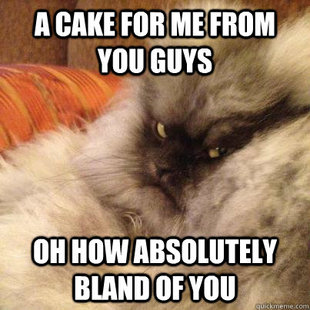 Angriest Cat