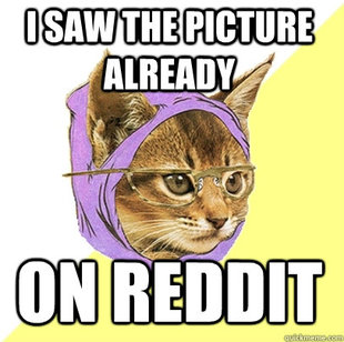 Hipster Kitty