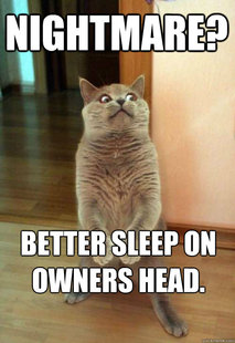 Horrorcat