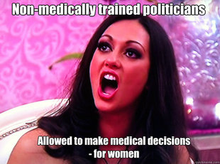Feminist Nazi