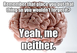 Scumbag Brain