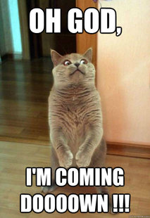 Horrorcat