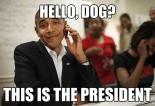 Obama Phone