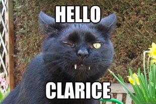 Evil Cat