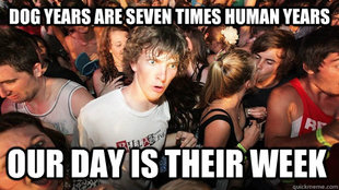 Sudden Clarity Clarence