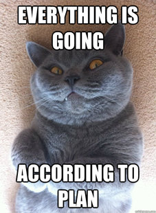 Evil Cat