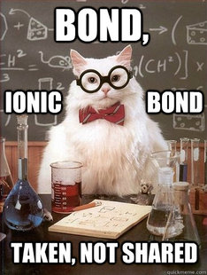 Chemistry Cat