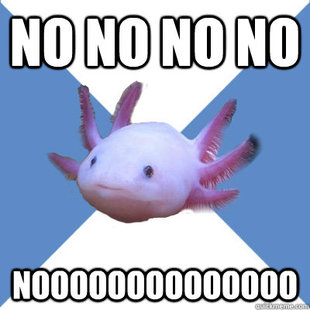 Facebook Stalker Axolotl
