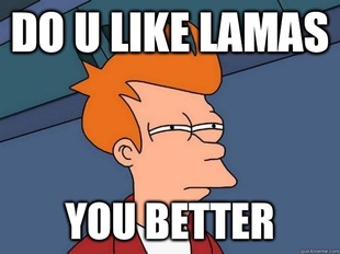 Futurama Fry