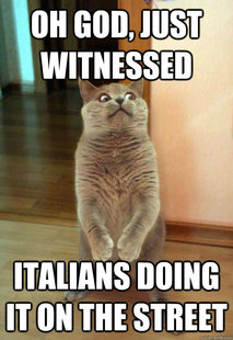 Horrorcat