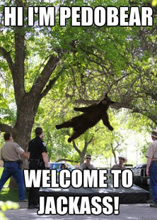 i am a falling bear